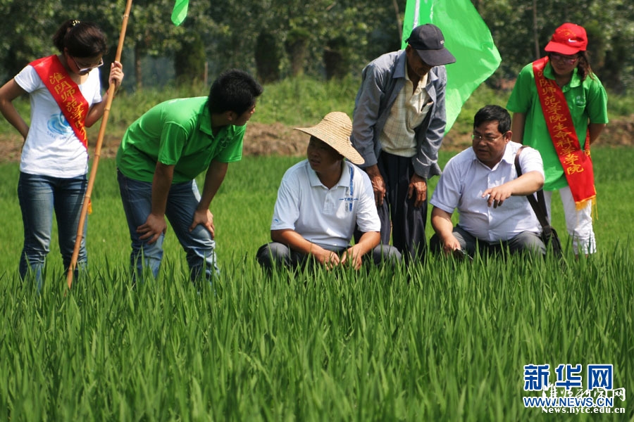 7月9日，江苏bat365生科院的大学生志愿者与老师一起在田间向农民讲解科学的杀虫方法。